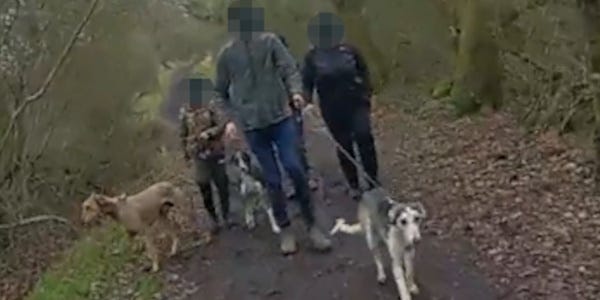 Five arrested on suspicion of hare coursing