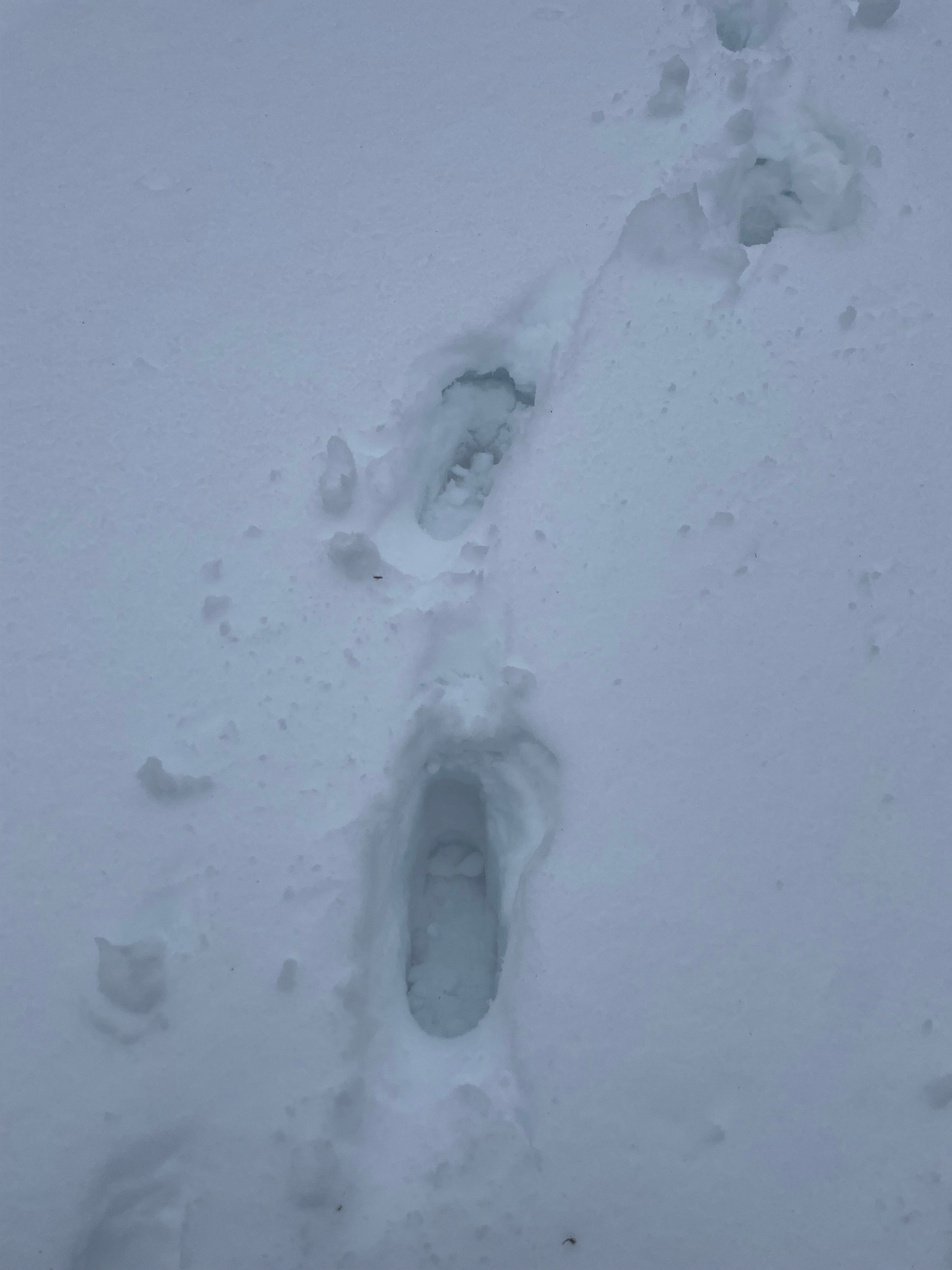 Footsteps in deep snow