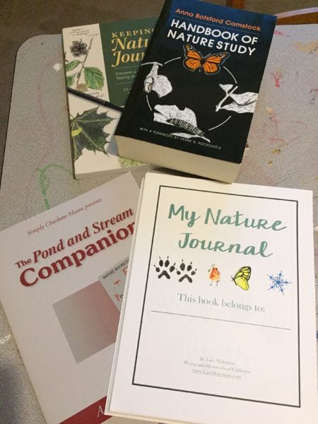 charlotte mason curriculum nature study