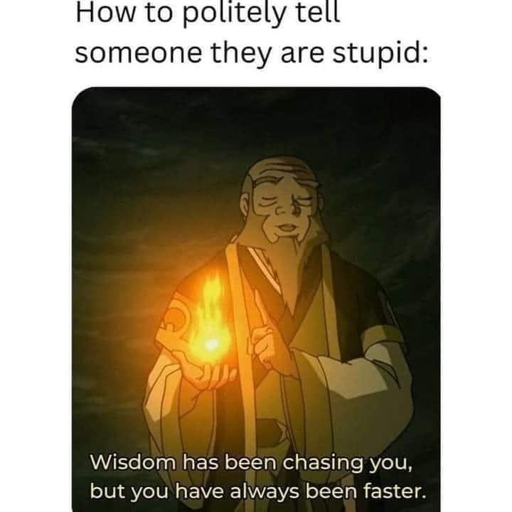 May be an image of text that says 'How to politely tell someone they are stupid: Wisdom has been chasing you, but you have always been faster.'