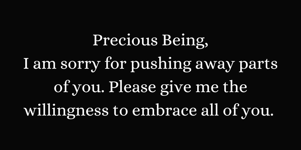 Precious Being, I am sorry for pushing away parts of you. Please give me the willingness to embrace all of you.