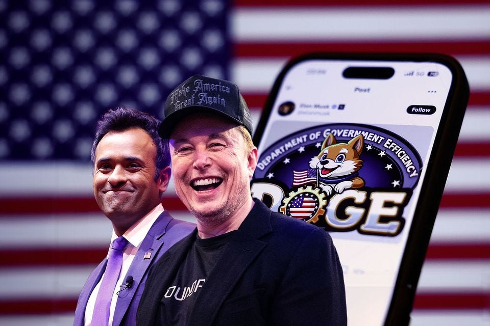 DOGE: How Elon Musk could use his new meme "department" to target government employees and ...