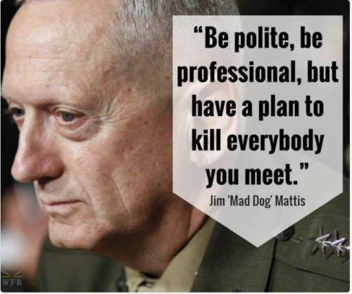 Retired Marine Mad Dog Mattis