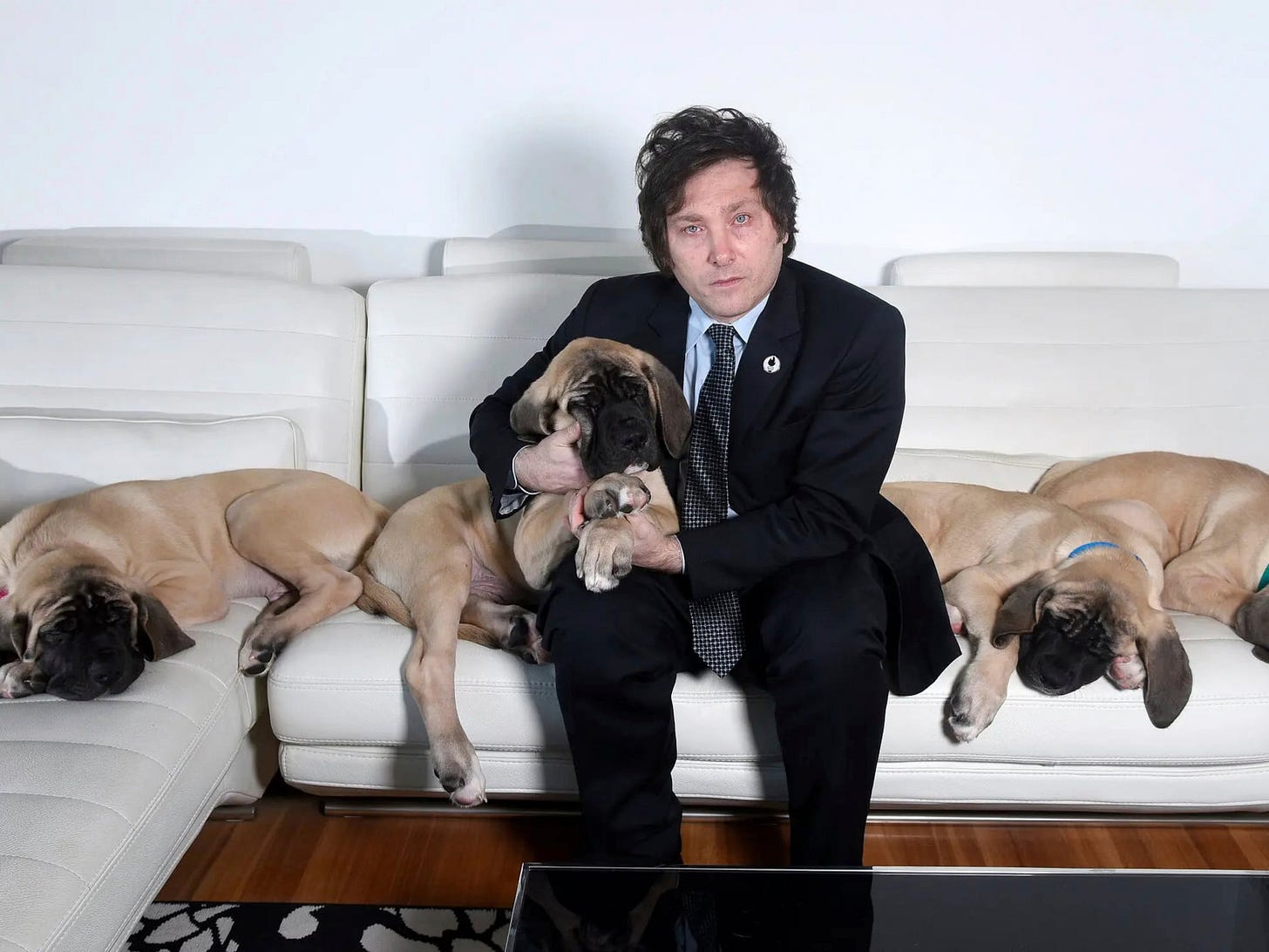 The mystery of Milei's cloned dogs: Argentina wonders if there are four or  five | International | EL PAÍS English