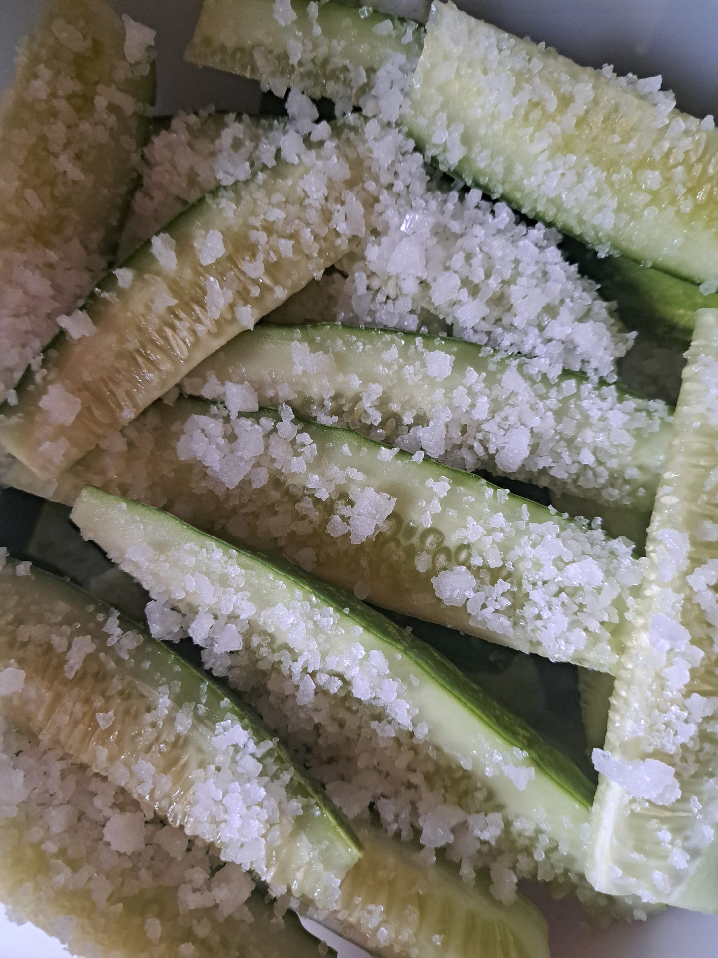 Salted cucumbers for pickling