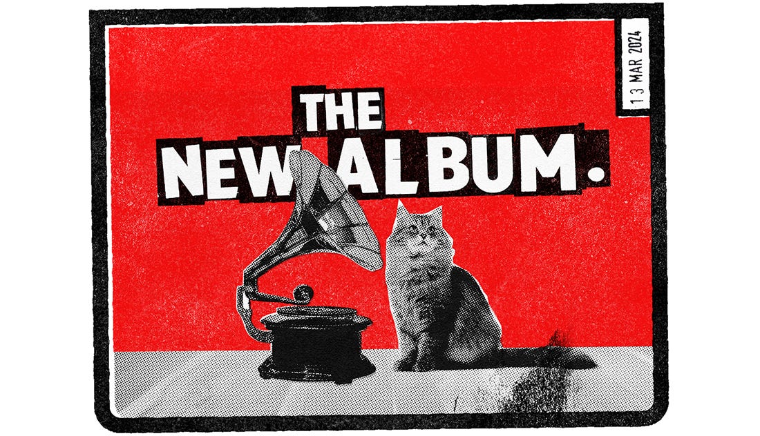 The New Album: A cat, sat next to an old gramophone.