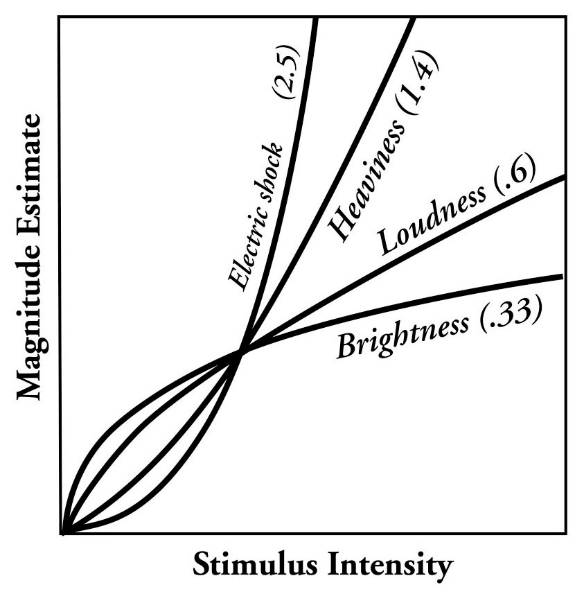 Psychophysics | in Chapter 04: Senses