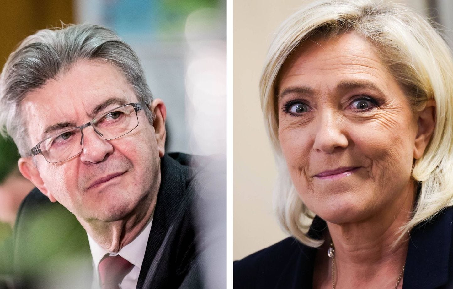 Le parti de Jean-Luc Mélenchon est souvent qualifié d'extrême gauche alors qu'il n'est pas reconnu comme tel par le Conseil d'Etat tandis que le parti de Marine Le Pen a été classé dans le bloc « extrême droite » par cette même institution