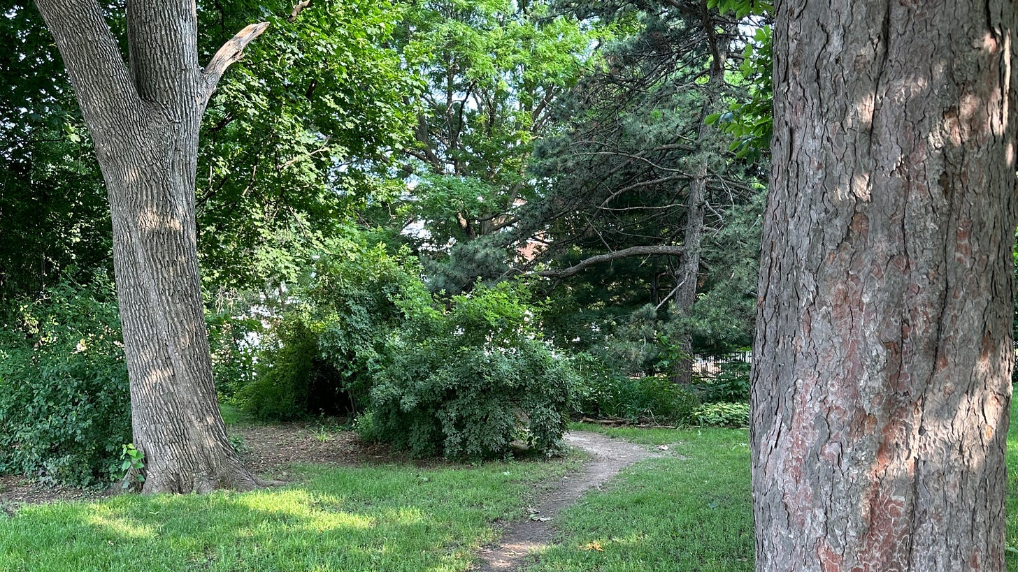 Short trail through the trees at the Central Elementary School in the Durand neighbourhood