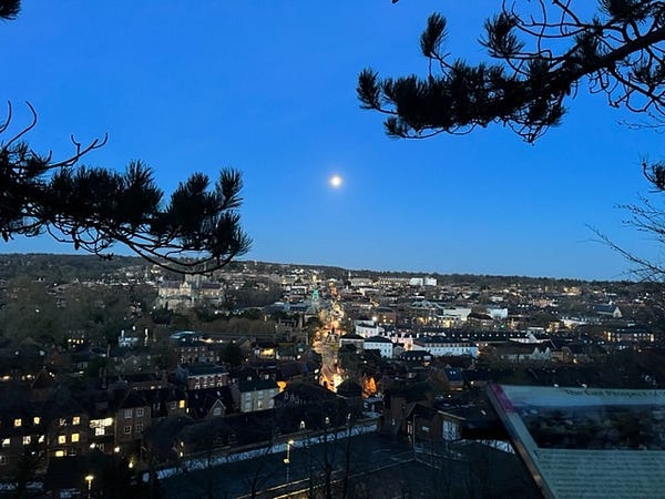 The view of the city from a high viewpoint, framed by the morning sky, trees and the moon.