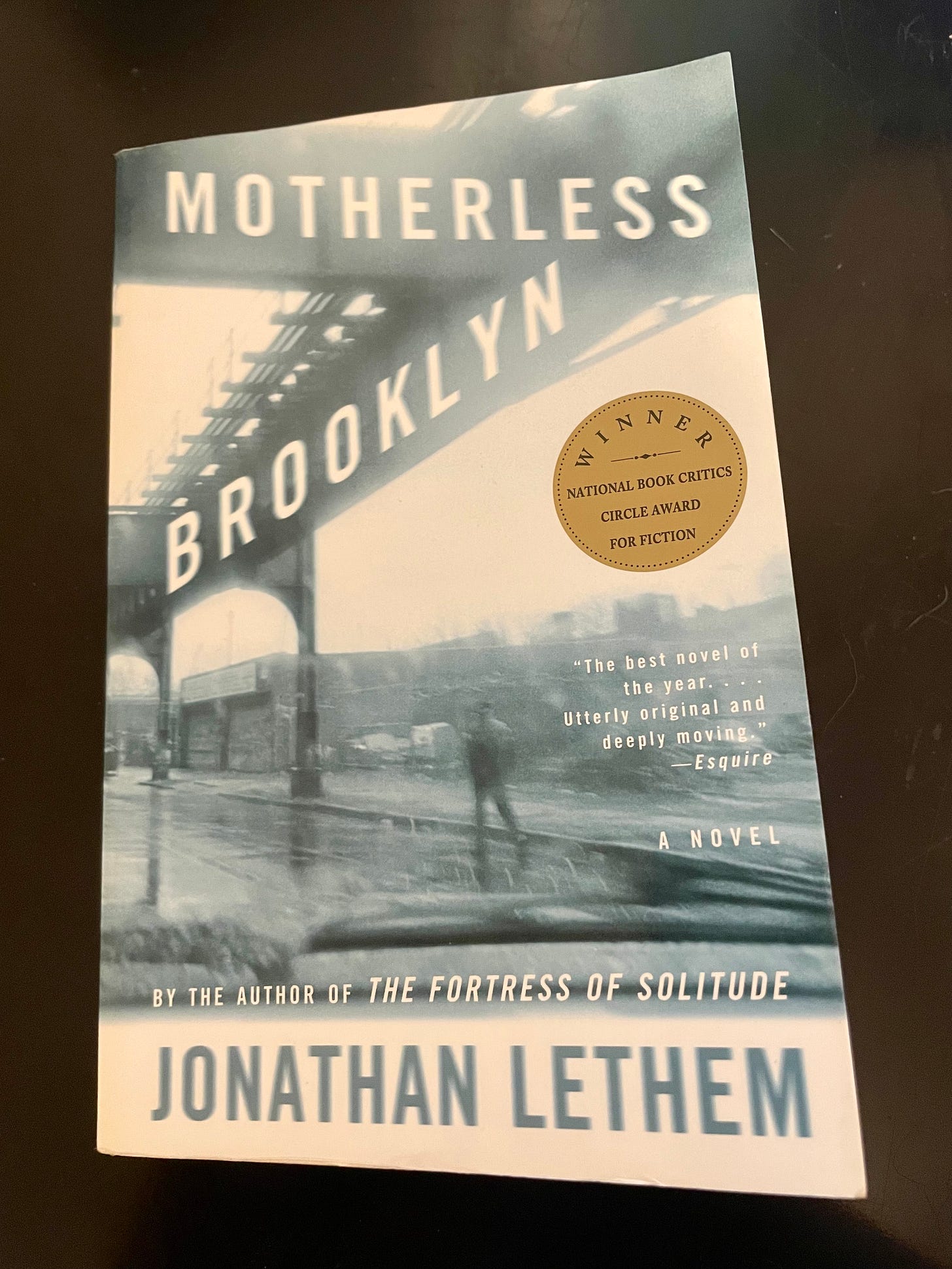 book: 'Motherless Brooklyn' by Jonathan Lethem