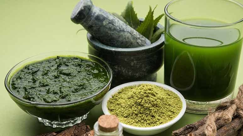 herbal options for chronic pain