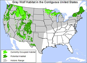 Gray wolf habitat map