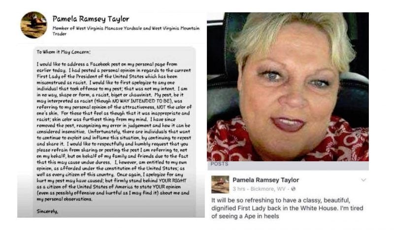 pamela ramsey taylor recan statement