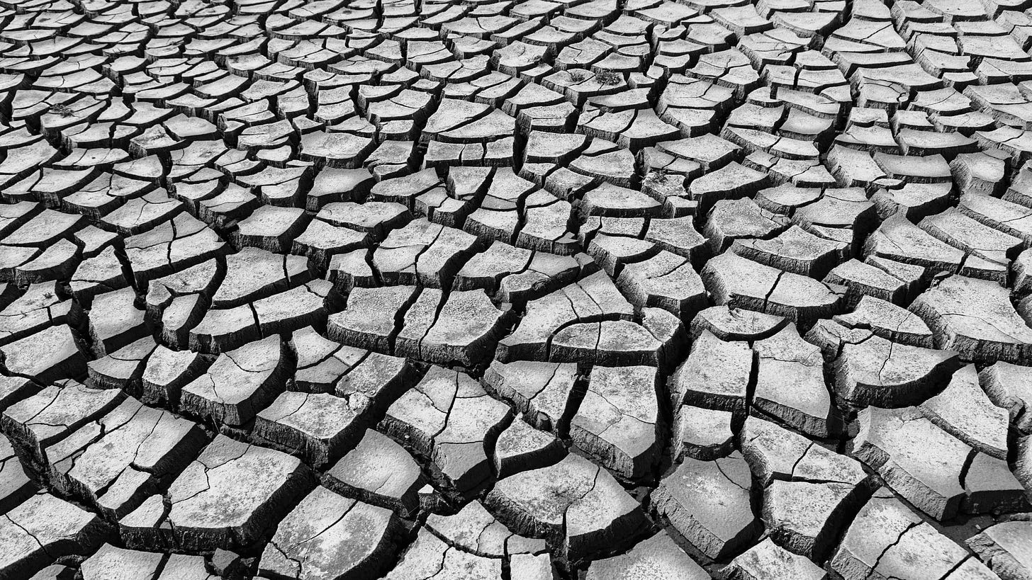 Closeup of an arid desert scene showing dry, cracked earth