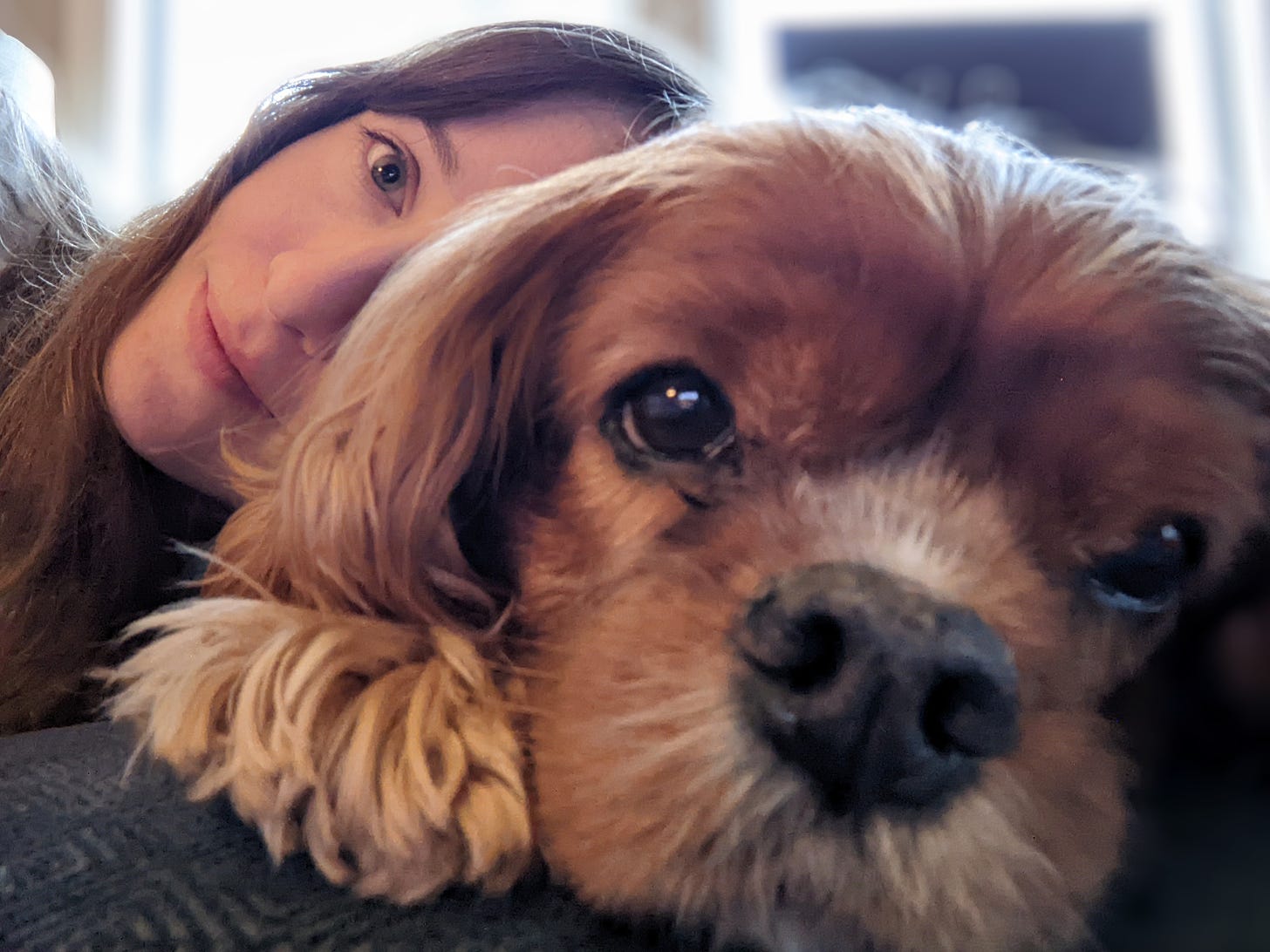 Emily, a white woman, leans her head on Finney, a ruby Cavailer King Charles Spaniel. They are both facing the camera and cuddling on the couch.