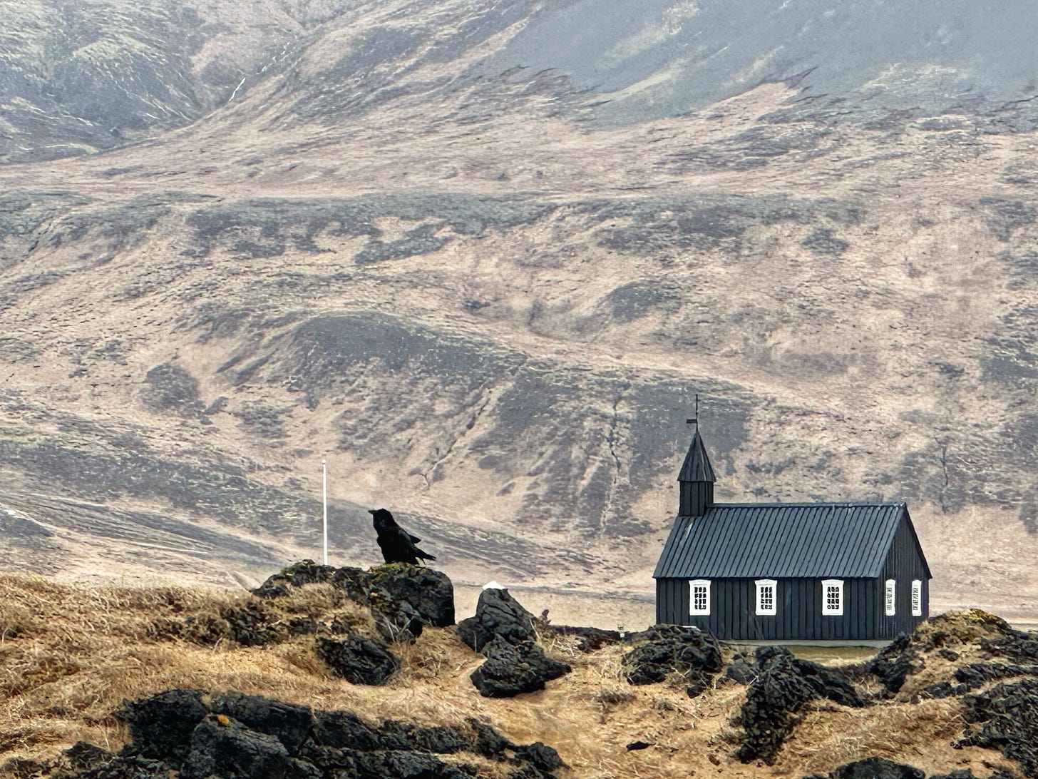 Búðakirkja - The Black Church of Budir with golden brown mountains behind and deeper brown sod growing on a lava rock waist-high wall in front.  There is a raven perched on the wall looking out to the left of the frame.