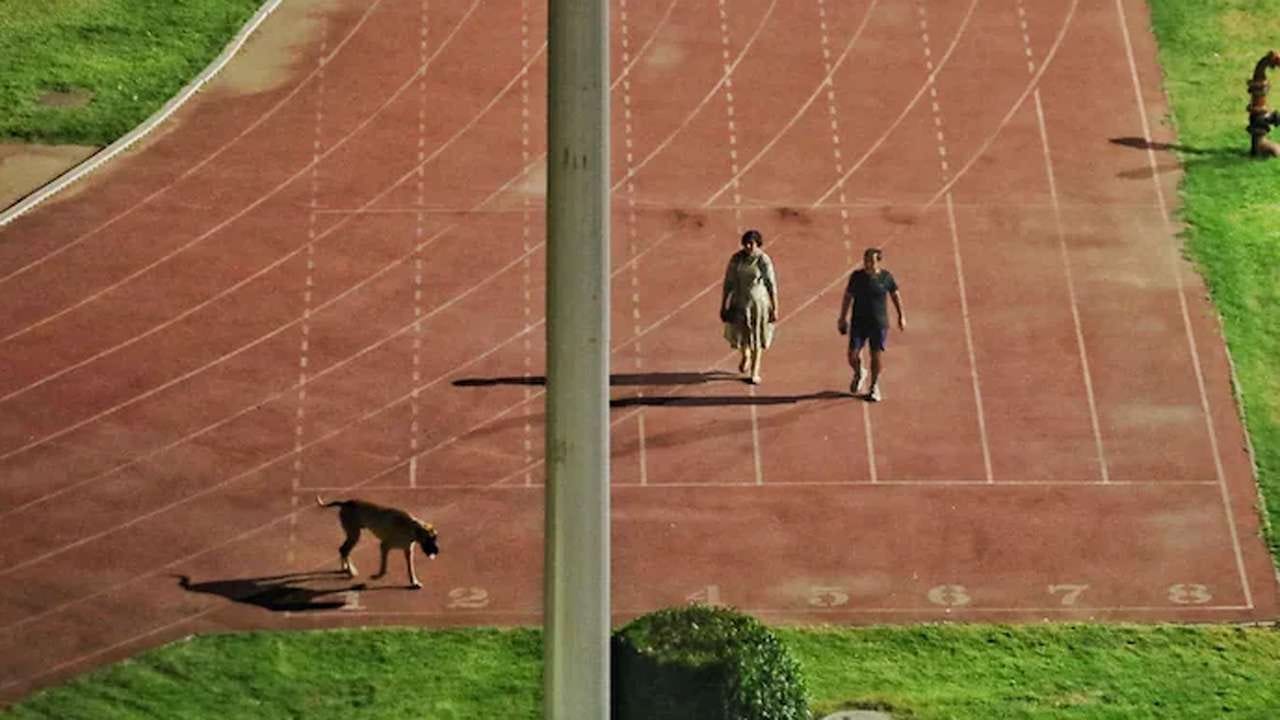 IAS officer who walked dog in Delhi's Thyagraj Stadium transferred to  Ladakh for 'misusing position'