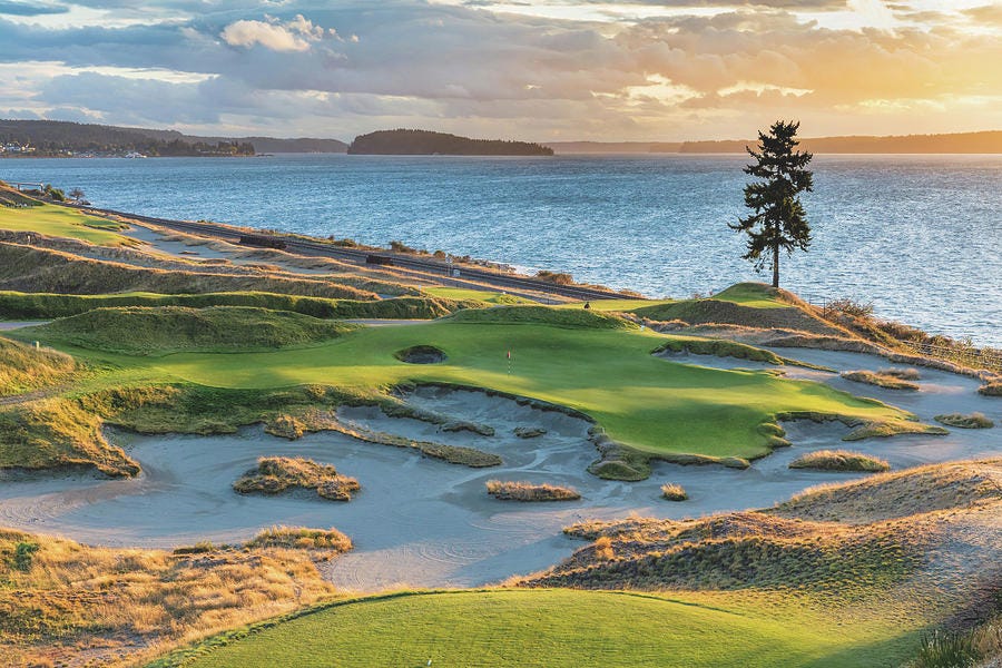 Chambers Bay, Hole 15, Lone Fir Photograph by Mike Centioli - Fine Art  America