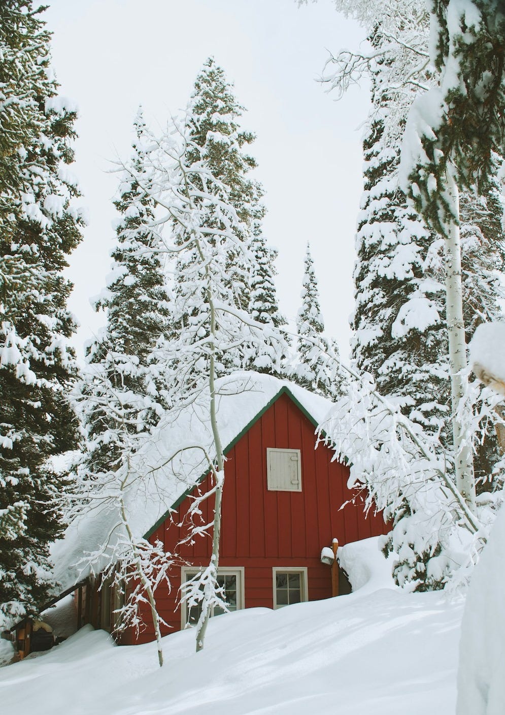 snow covered wooden house during daytime