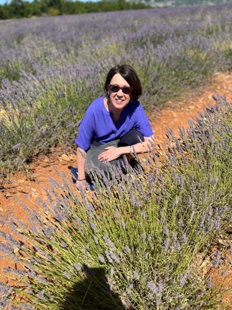 Provence Lavender fields