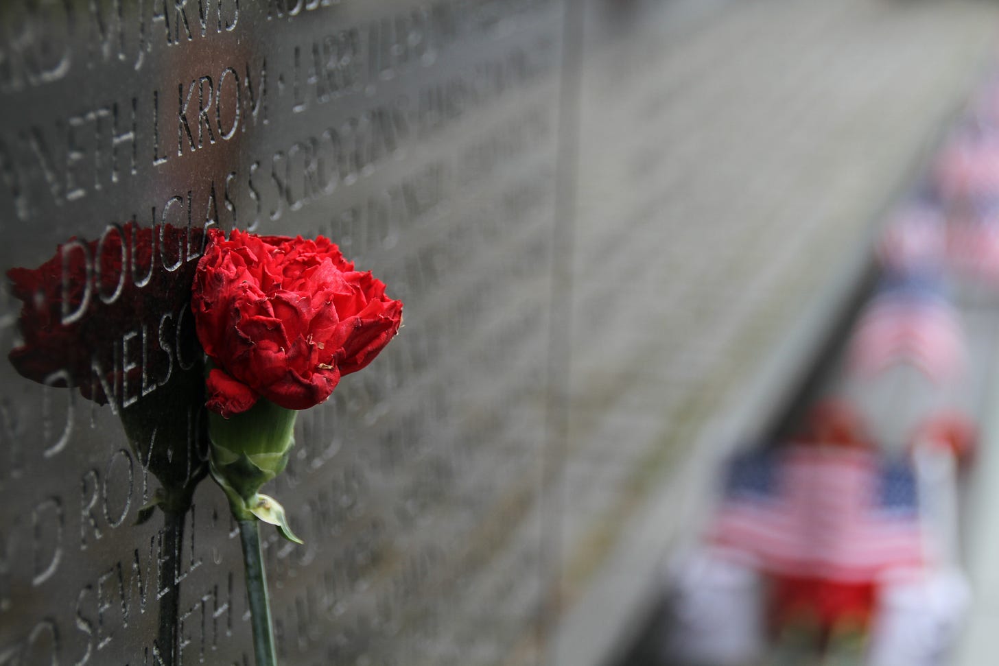 rose at the Vietnam Memorial