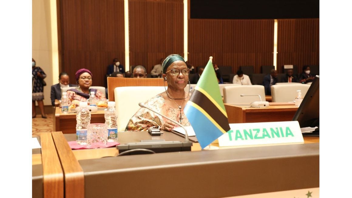 Tanzania recommends 3 ways to address terror challenge in Africa