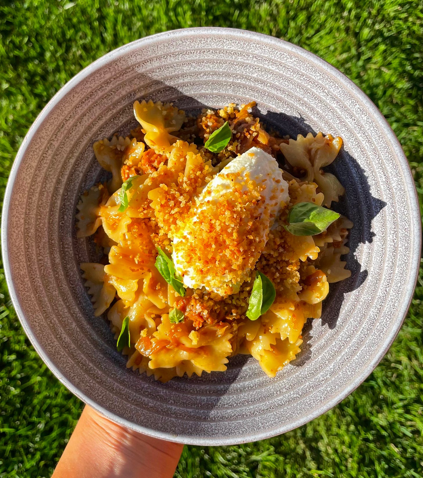 Low bowl of farfalle with cabbage, ricotta, and breadcrumbs