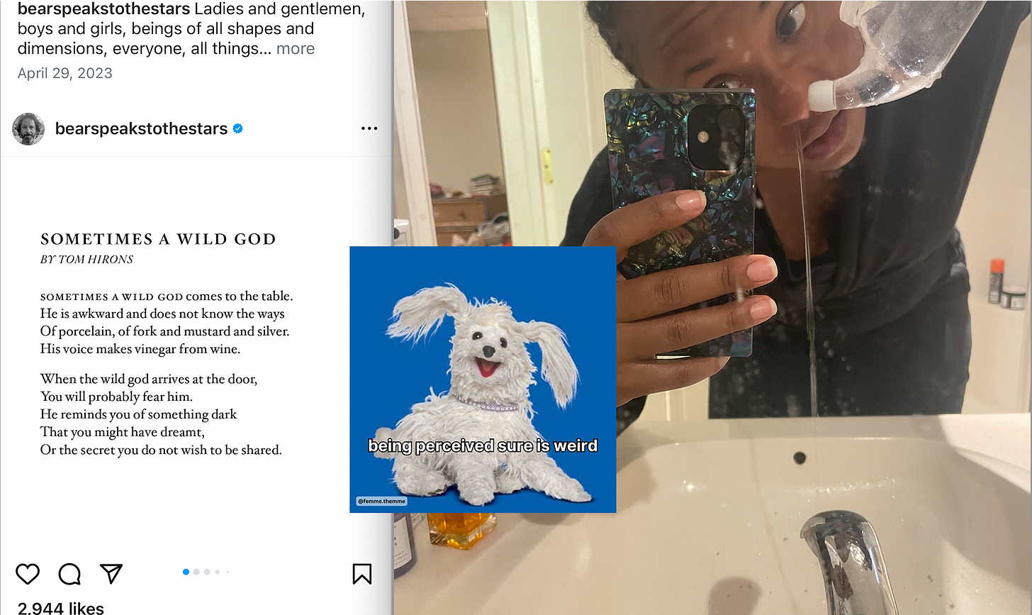 A collage image of an instagram screen shot with a poem called "sometimes a wild god" by tom hirons on the left. On the right is an image of Kia in a black jumpsuit, leaned over a bathroom sink and taking a selfie while water pours through her nose from a clear plastic neti pot. On the bottom, on a small blue background, is the image of a scraggly and happy stuffed animal dog, with text written over it "being perceived sure is weird."