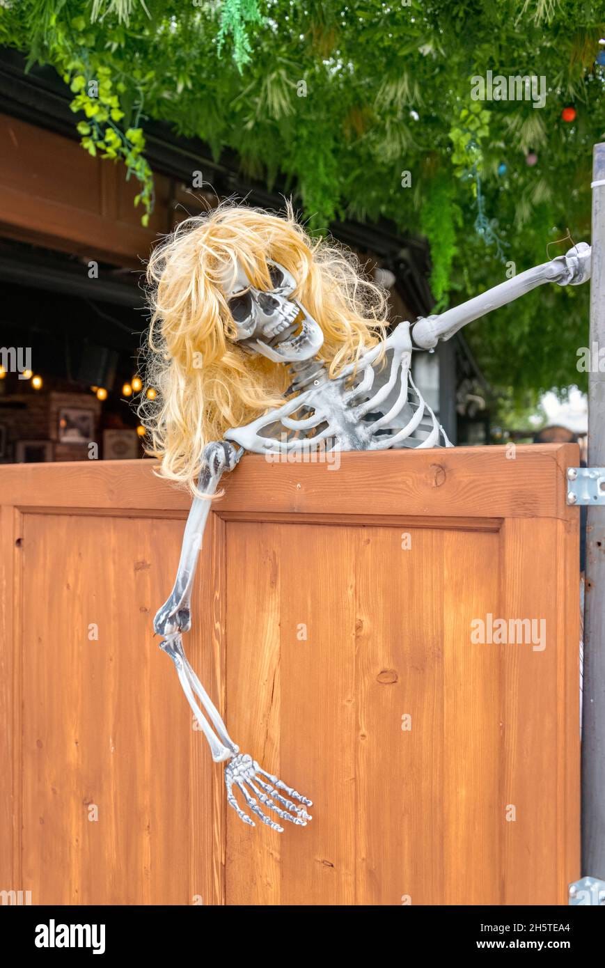 Female skeleton with blonde wig Halloween Decorations, NC Cafe, Saintes  Maries de la Mer, Camargue, France Stock Photo - Alamy