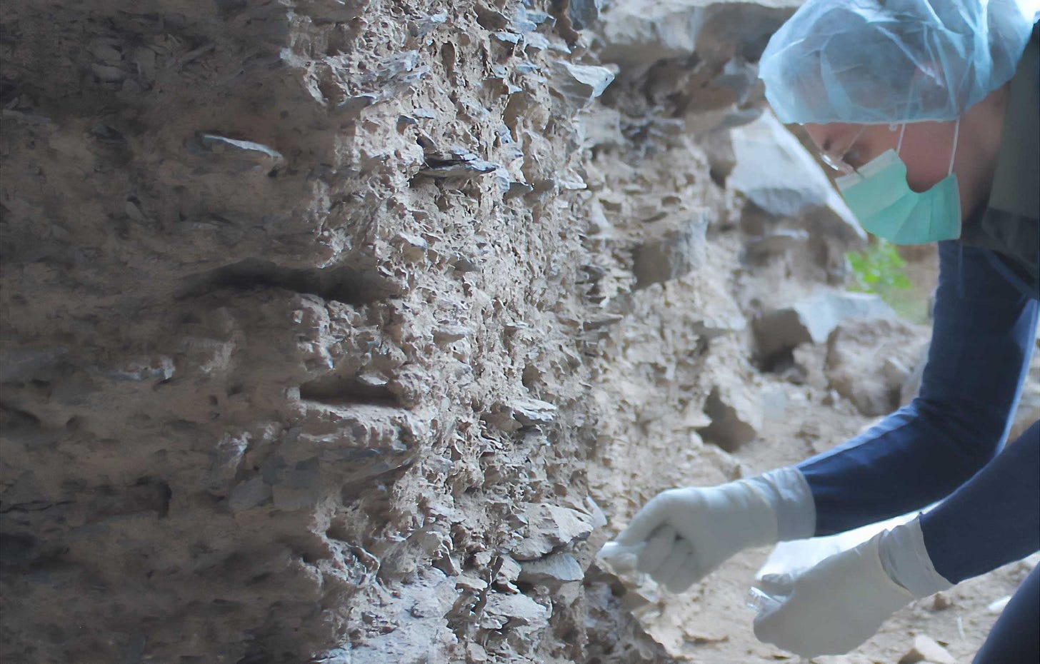 A researcher wearing protective mask, hair net, and gloves is reaching toward an archaeological profile with a test tube. A researcher wearing protective mask, hair net, and gloves is reaching toward an archaeological profile with a test tube.
