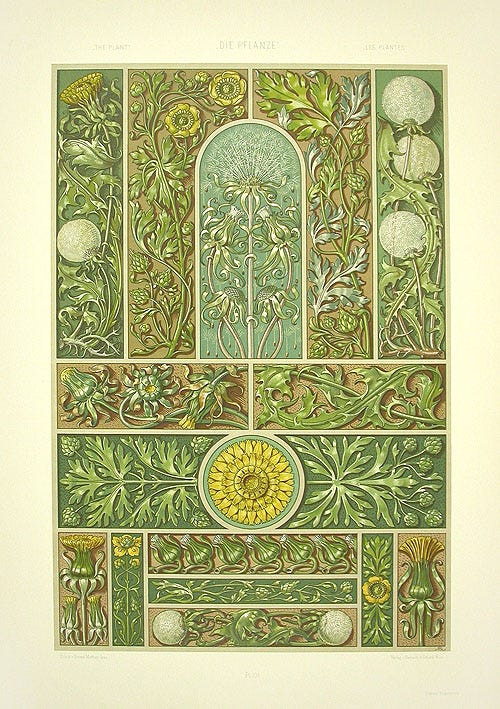 A lithograph illustratio of dandelions