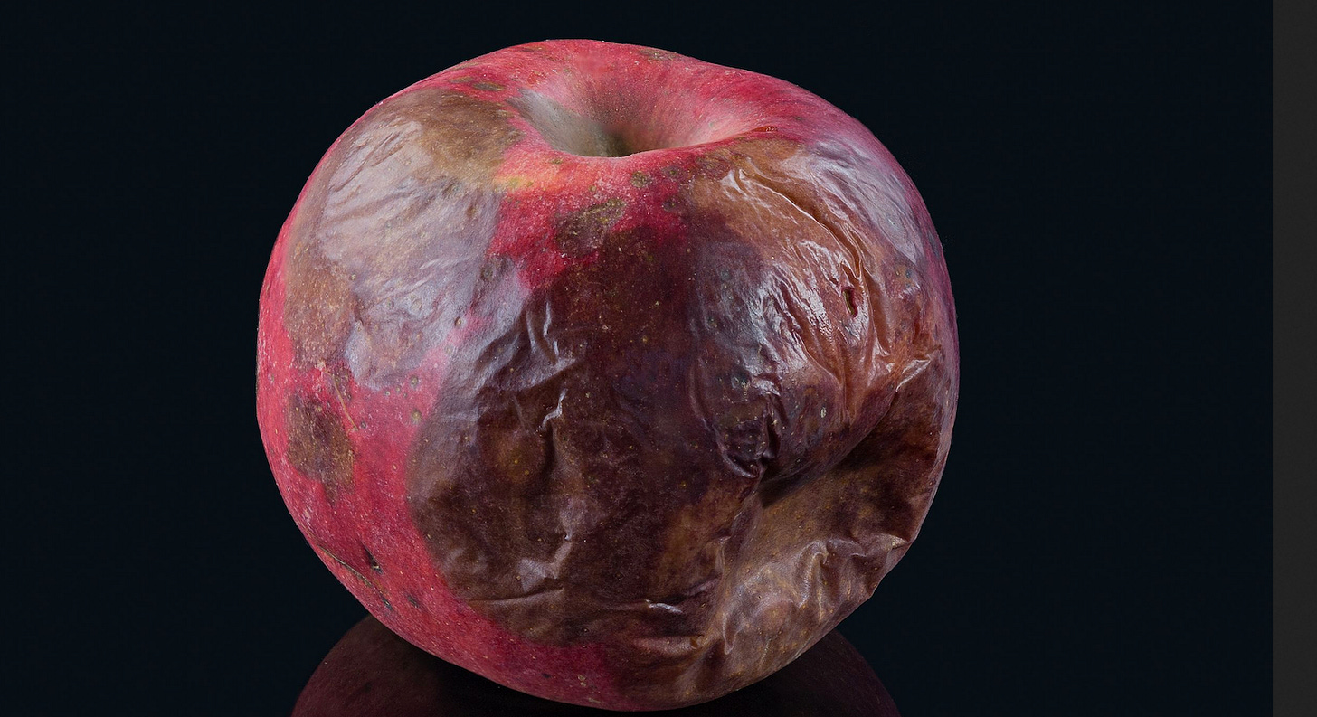 Photo of a rotten apple