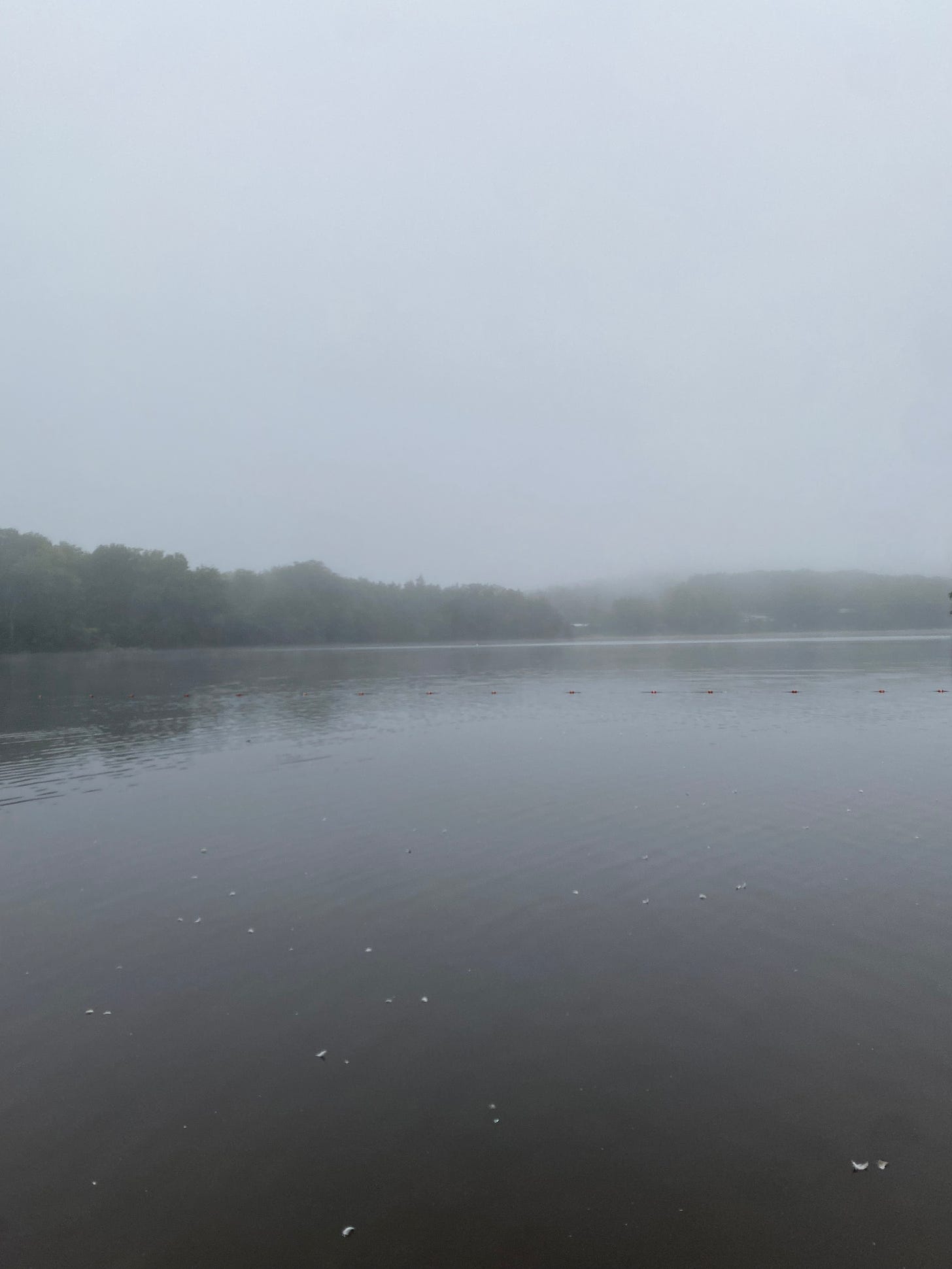 Ashfield Lake in the mist. The sky is white and the water is silver-grey.