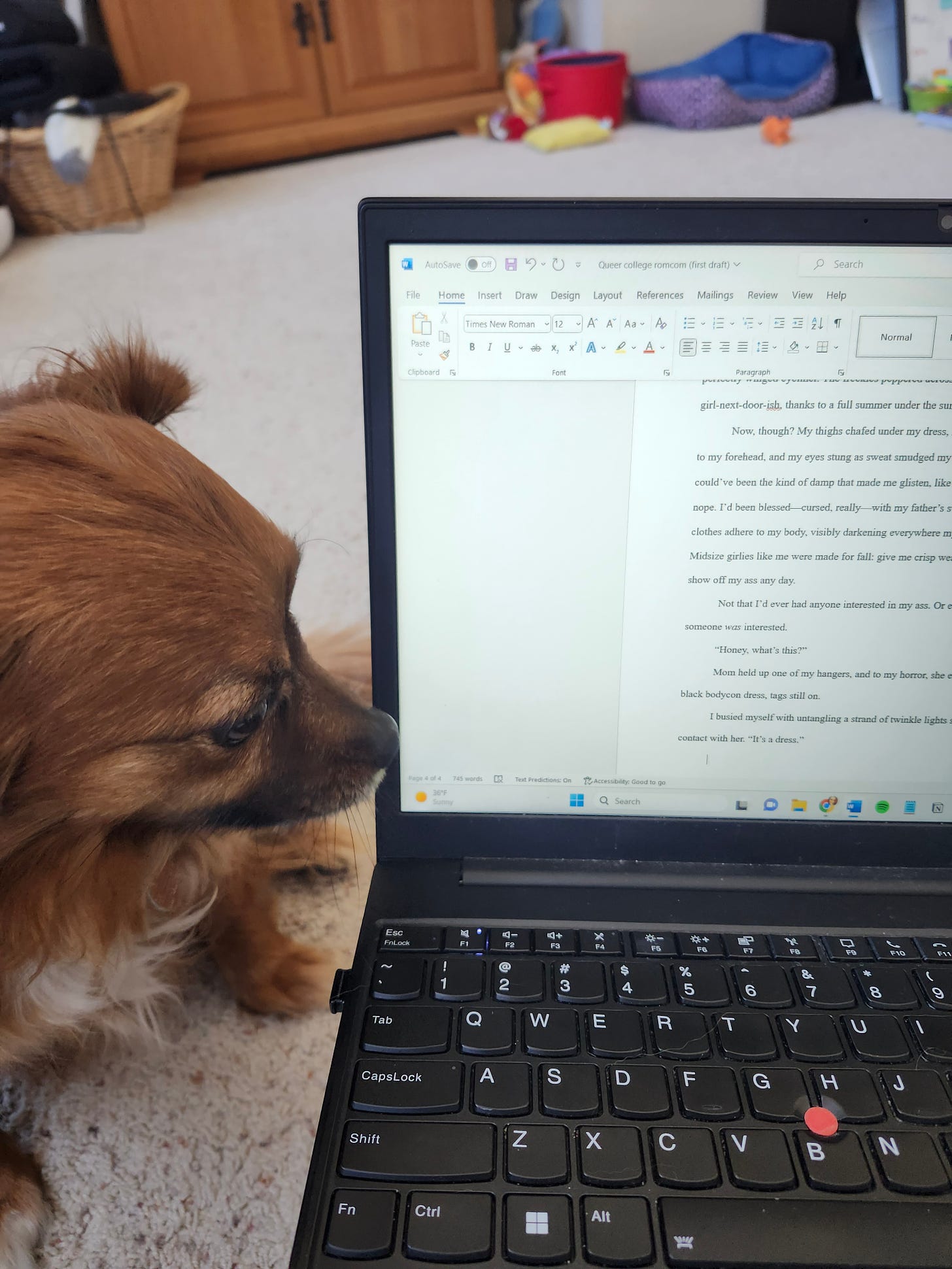 An adorable dog sneaking a glance at Kate's laptop screen, which is open to a Word document