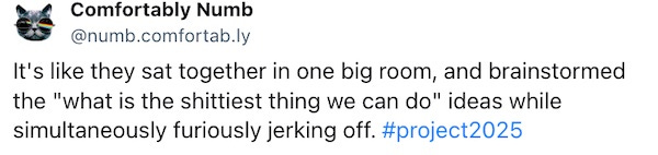 It's like they sat together in one big room, and brainstormed the "what is the shittiest thing we can do" ideas while simultaneously furiously jerking off. #project2025