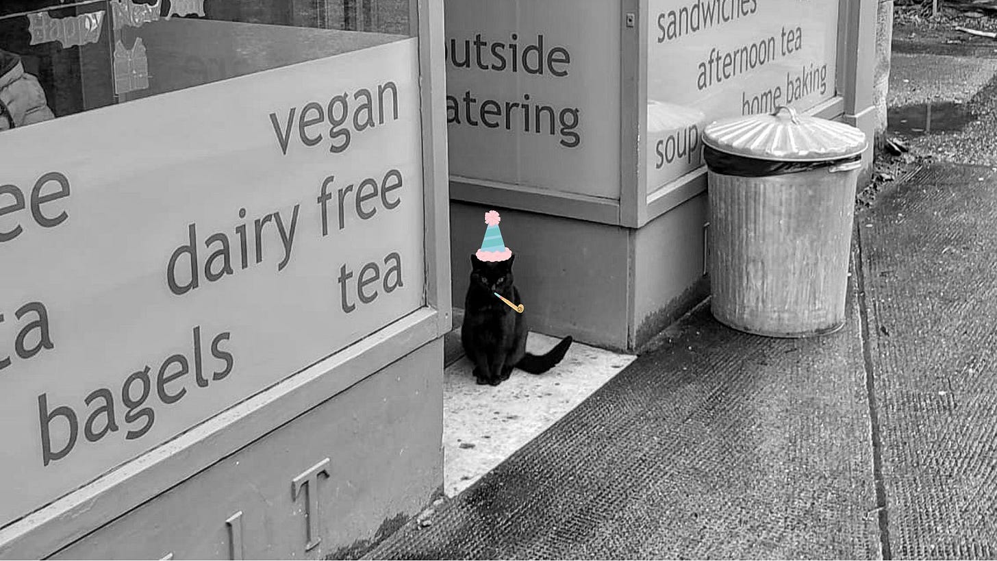 A black cat sitting in the doorway of a cafe, with a party hat and party noisemaker superimposed on top