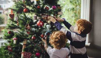 Elindult a karácsonyfa vadászat – Mutatjuk hol mennyibe fáj egy fenyő  Veszprémben | 82nullanulla.hu magazin