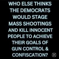 May be an image of text that says 'WHO ELSE THINKS THE DEMOCRATS WOULD STAGE MASS SHOOTINGS AND KILL INNOCENT PEOPLE TO ACHIEVE THEIR GOALS OF GUN CONTROL & CONFISCATION?'