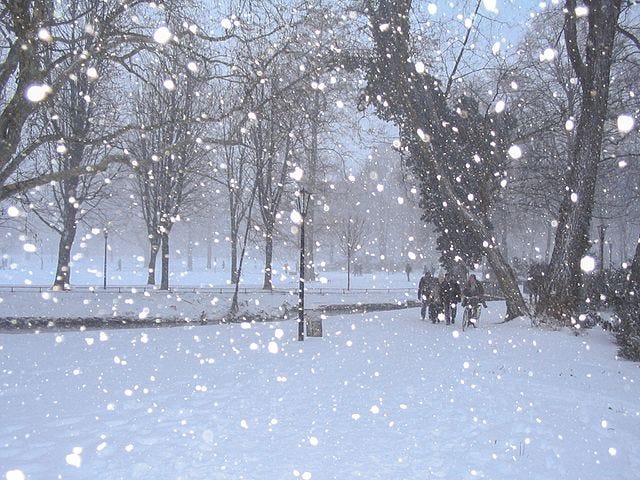snow falling in an urban woods in Germany in 2009