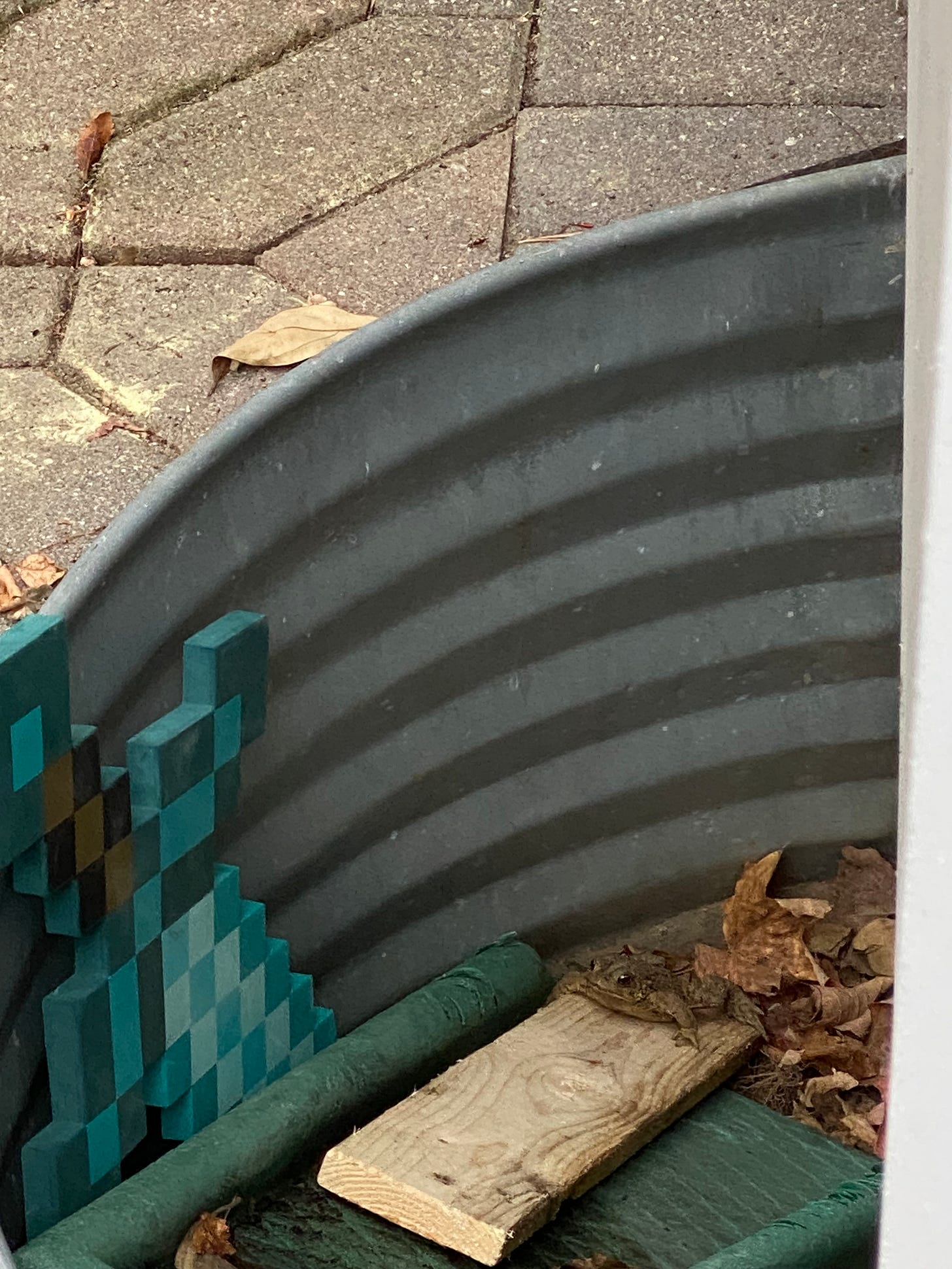 A toad in a window well at the base of a makeshift ramp from a plastic gutter extension and a plank of wood, a toy Minecraft sword nearby.