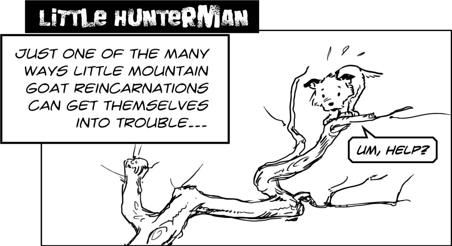 Little Hunterman, the mountain goat reincarnation – in trouble