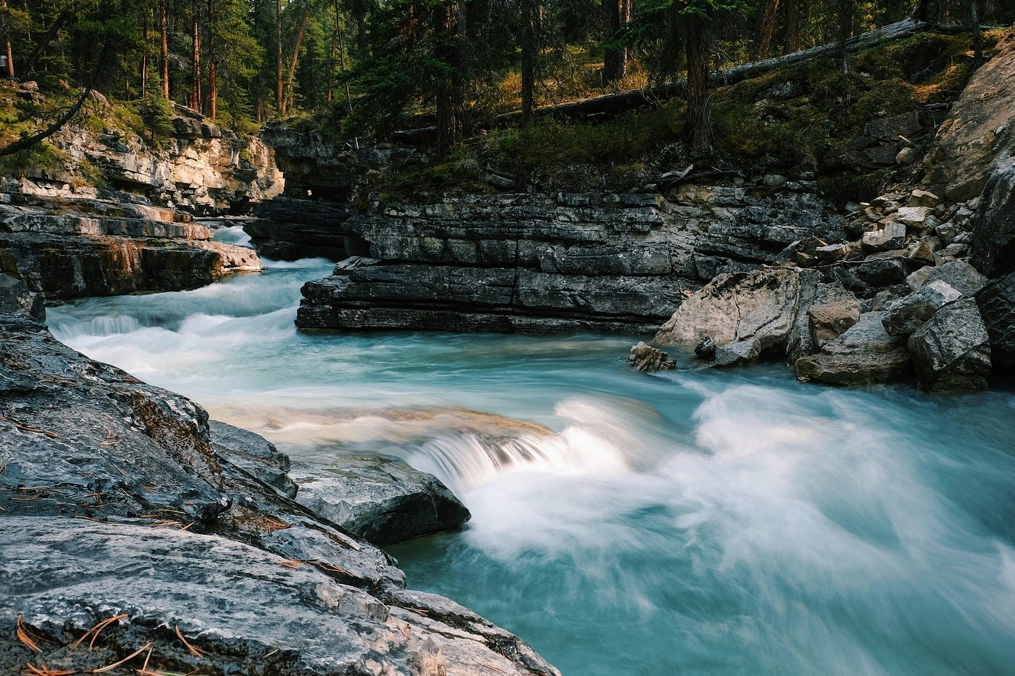 River rapids speeding through a narrow canyon of rocks and trees