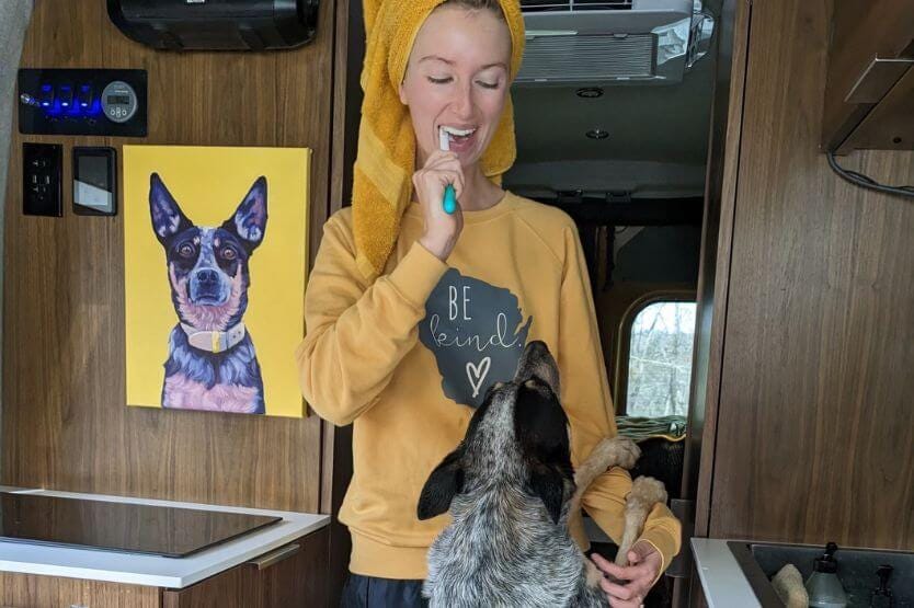 Scout, an adorable blue heeler, stands on her hind legs to put her paws up on my arm as I brush my teeth at our van sink after taking a shower, wearing a towel on my head