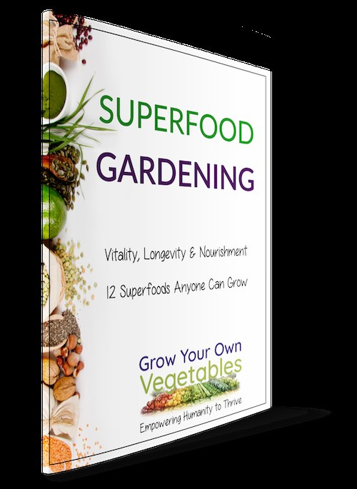 Superfood Gardening--today's gift