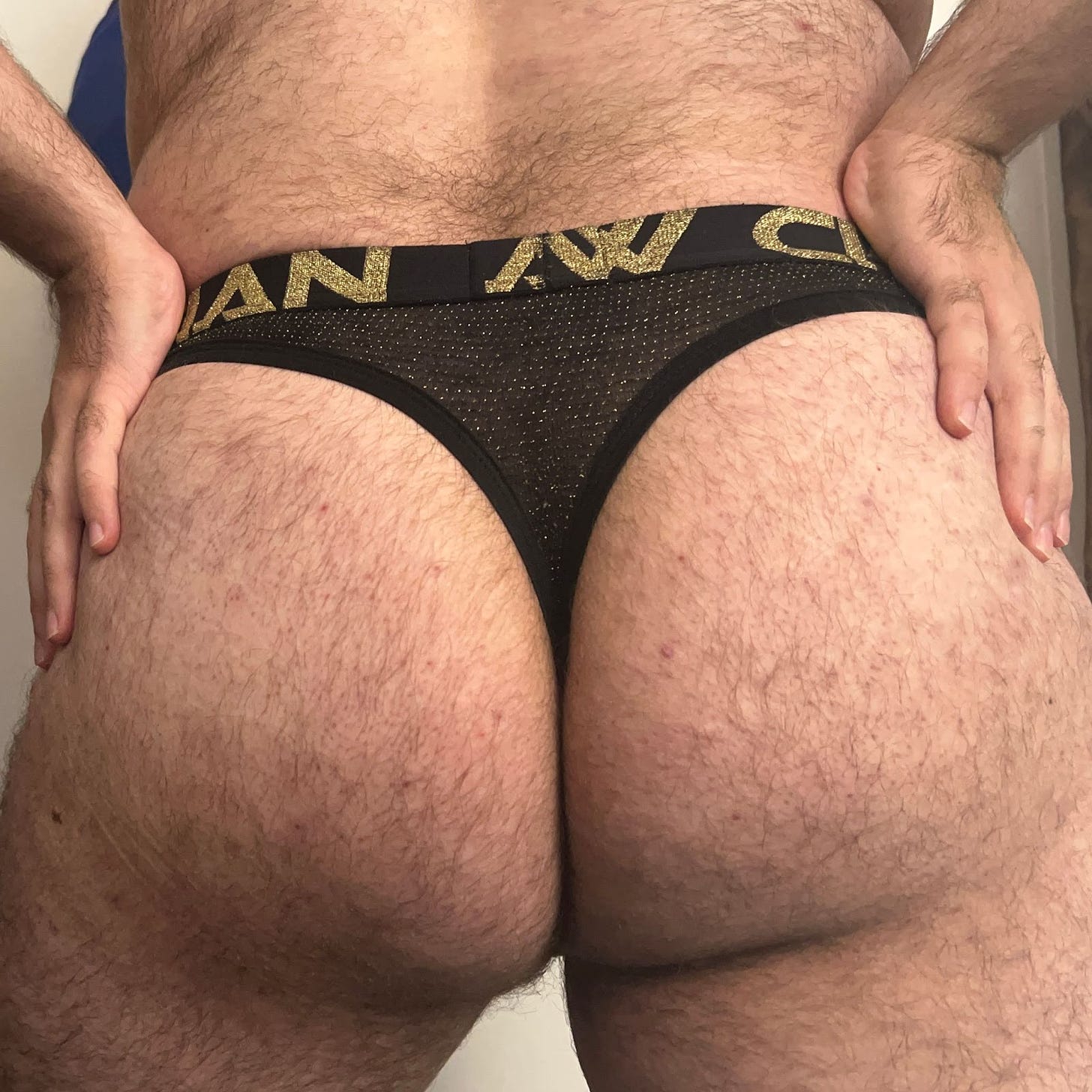 Two furry, spherical ass cheeks separated by the fabric of a gold-shimmer Andrew Christian thong worn by the author.