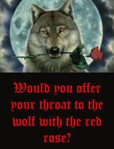 Photo by Heather Davidson | Wolf spirit, Wolf wallpaper, Red roses