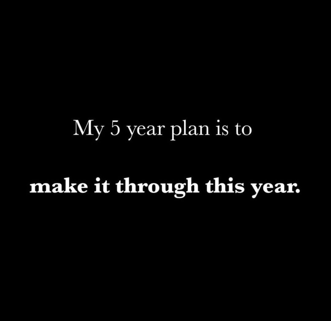 May be an image of text that says 'My 5 year plan is to make it through this year.'