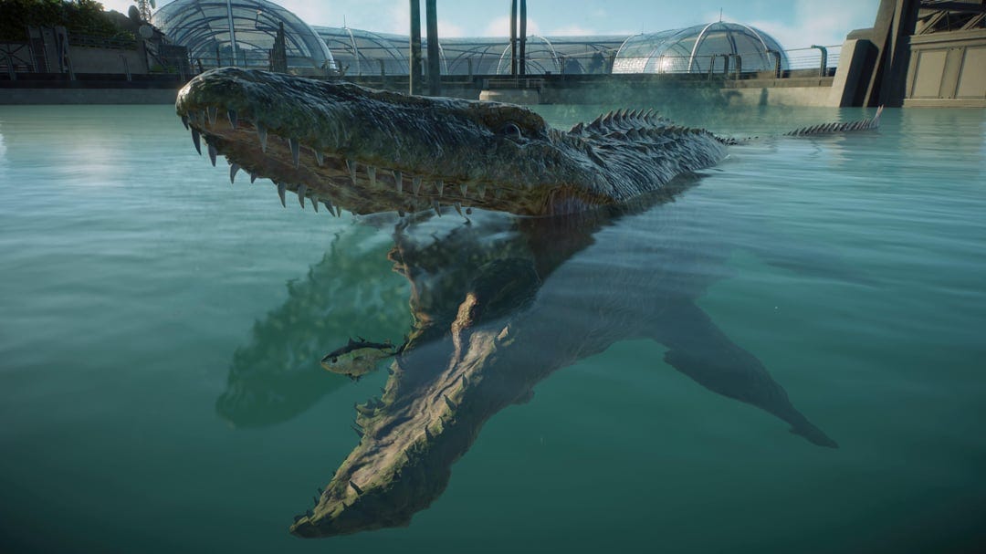 PSA: although the Mosasaurus requires a shark feeder to be happy, it can  and will still eat regular fish if the shark isn't available. Odds are a  lot of people already know
