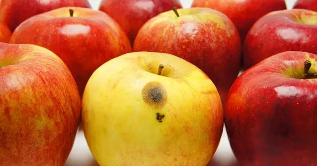 Spot (and Remedy) the Rotten Apple Before It Spoils the SIEM Barrel